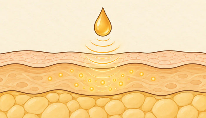 Ilustración conceptual: señal